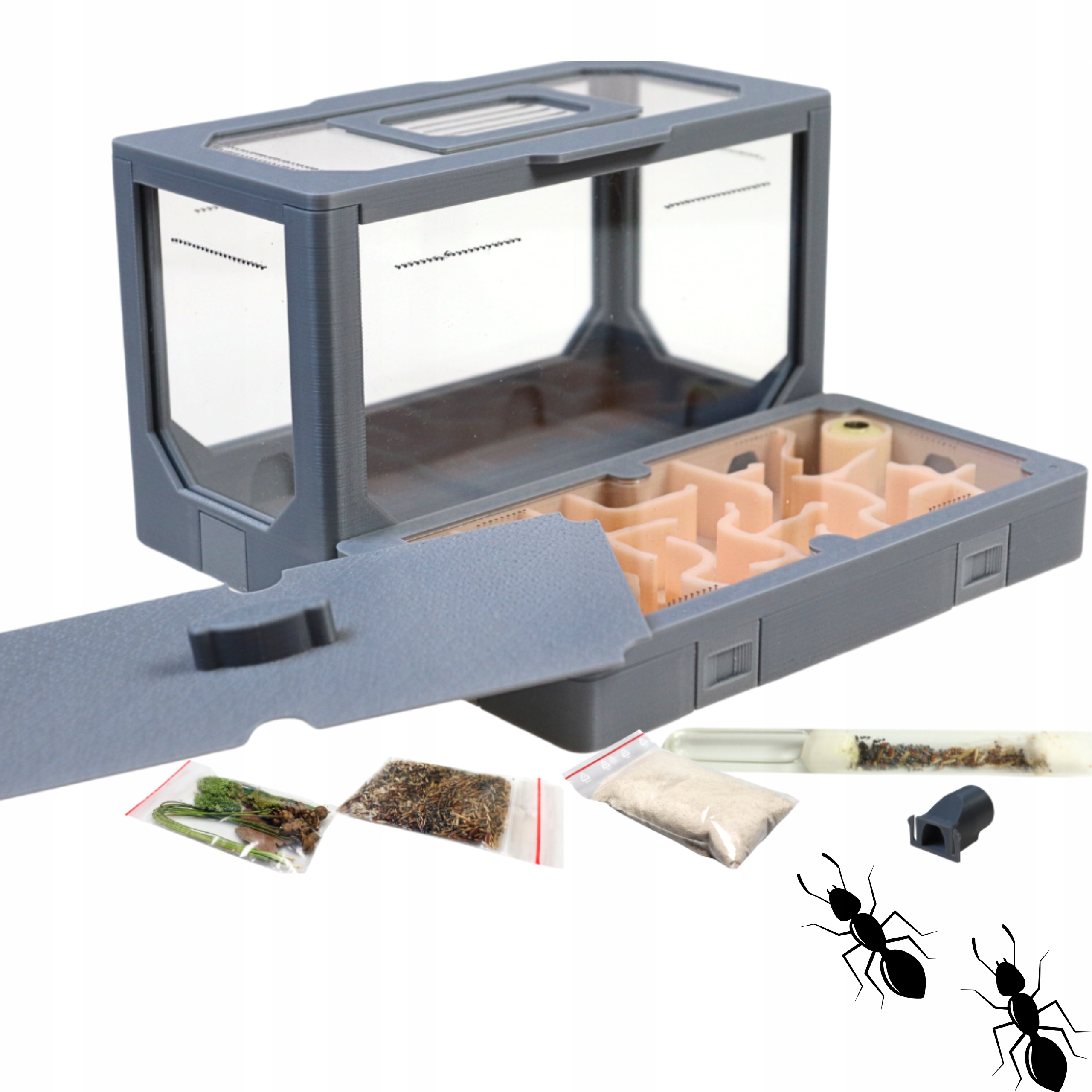 Formikarium Modułowe AntLove- zestaw łososiowy nr 2 z Messor barbarus