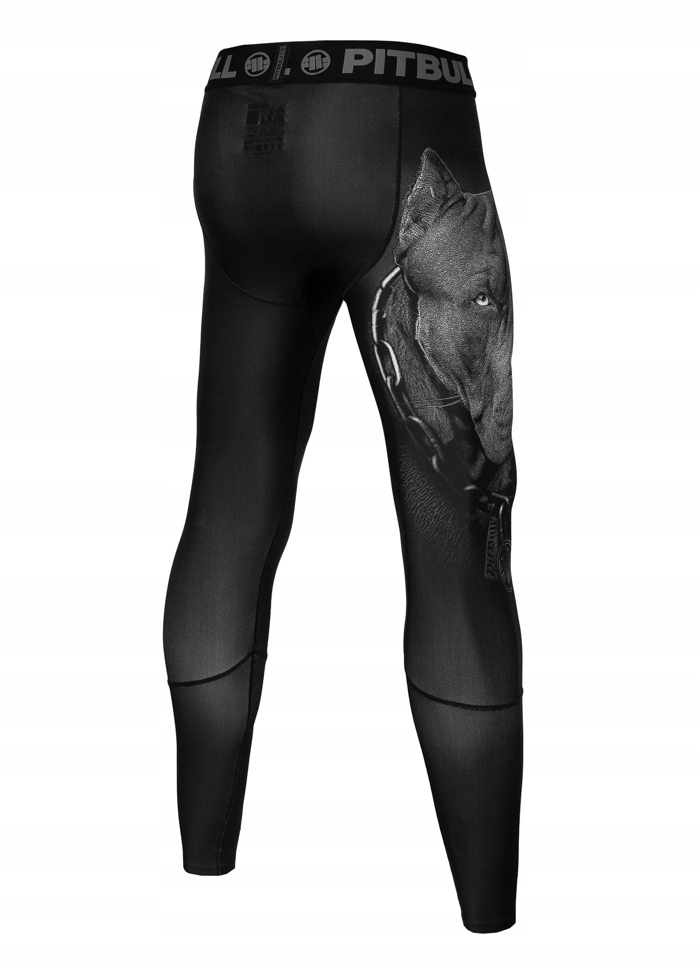 MĘSKIE LEGGINSY KOMPRESYJNE PIT BULL TRENINGOWE XL Kod producenta 972251900004 LEGGINSY BORN IN 1989