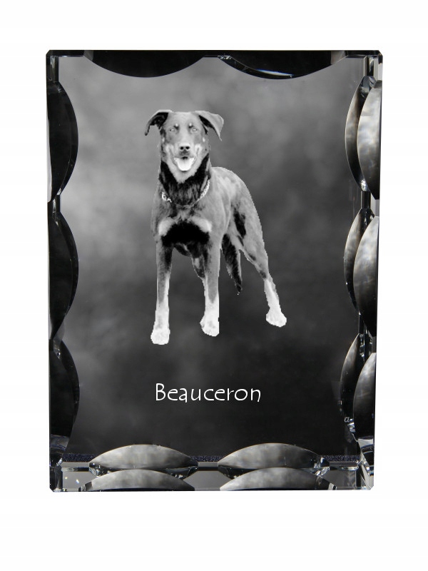 Francúzsky ovčiak Beauceron fotografia psa v ozdobnom kryštáli, suvenír