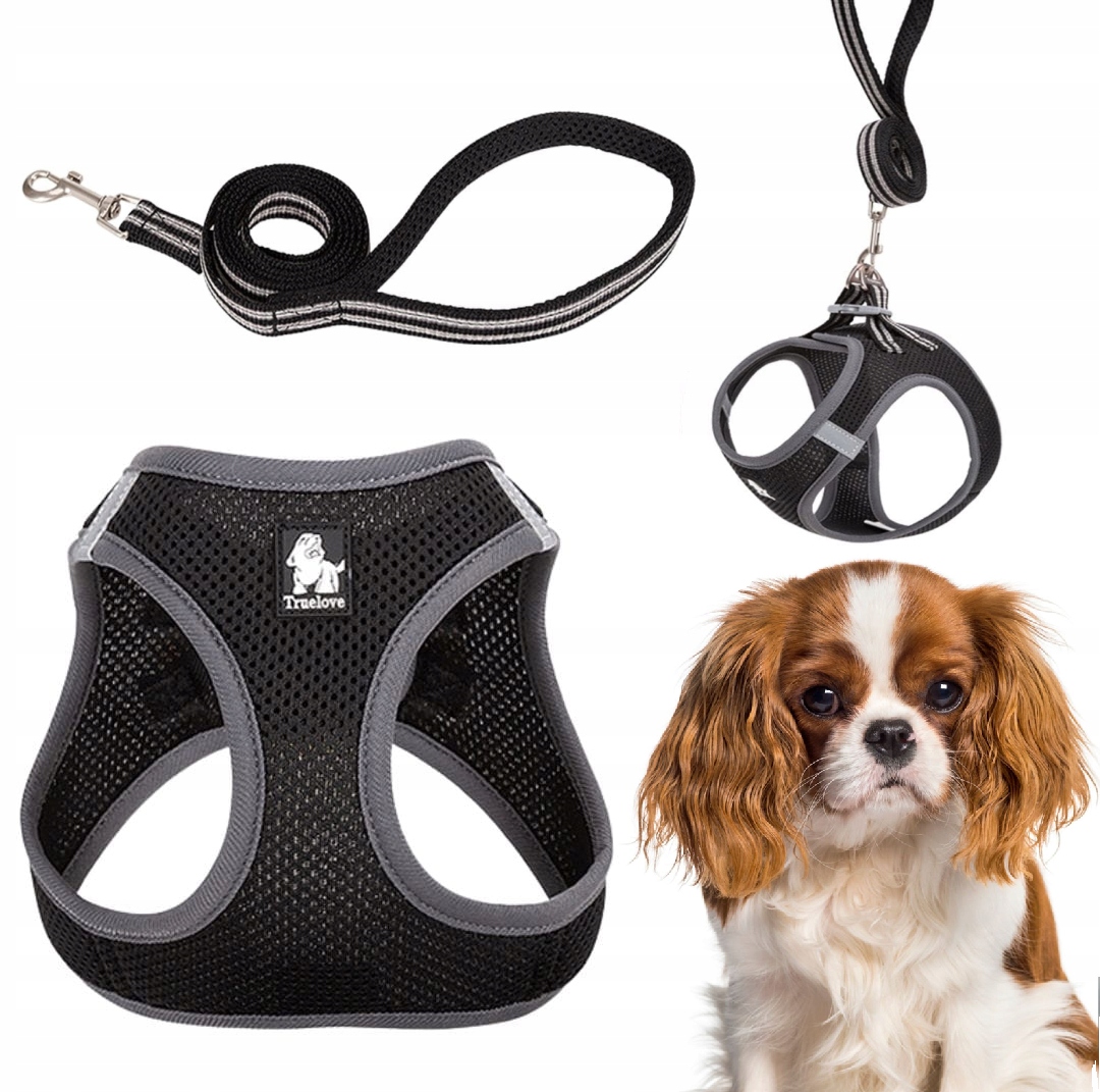 Levně Popruhy Vodítko Pro Malého Psa Kočky Lehké Truelove Mini Černé M Sada