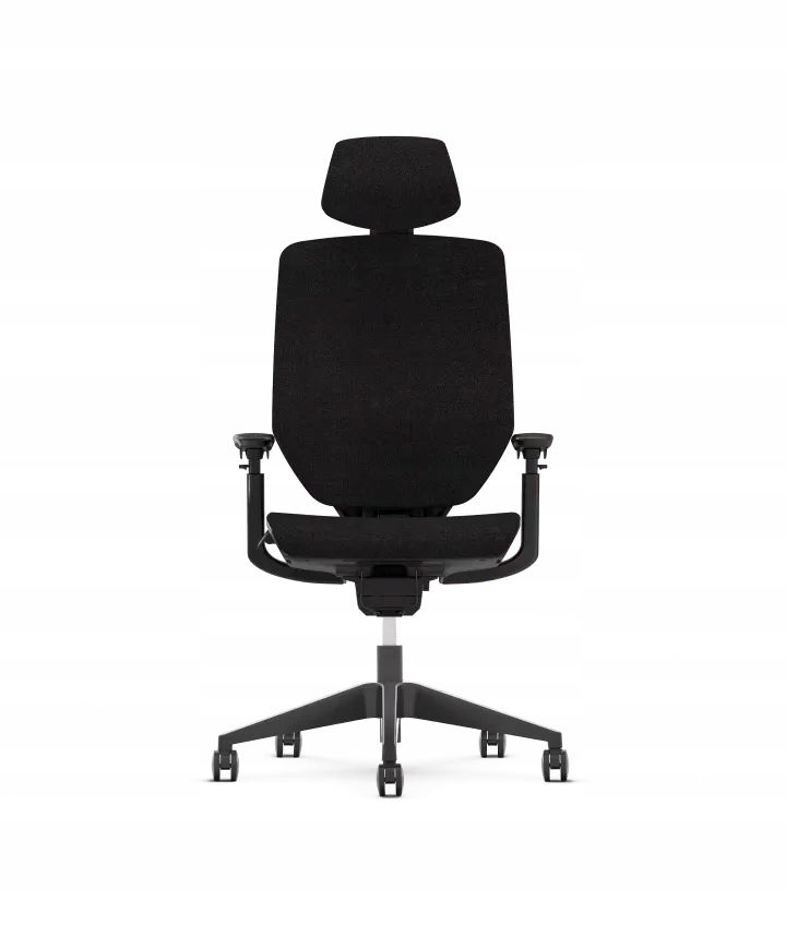 Fotel Biurowy Flexispot BS12 Pro Ergonomiczny Podłokietniki 3D 136kg