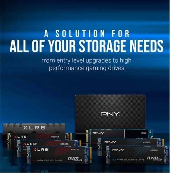 Pny Ssd disk 1TB M.2 CS1030 M280CS1030-1TB-RB