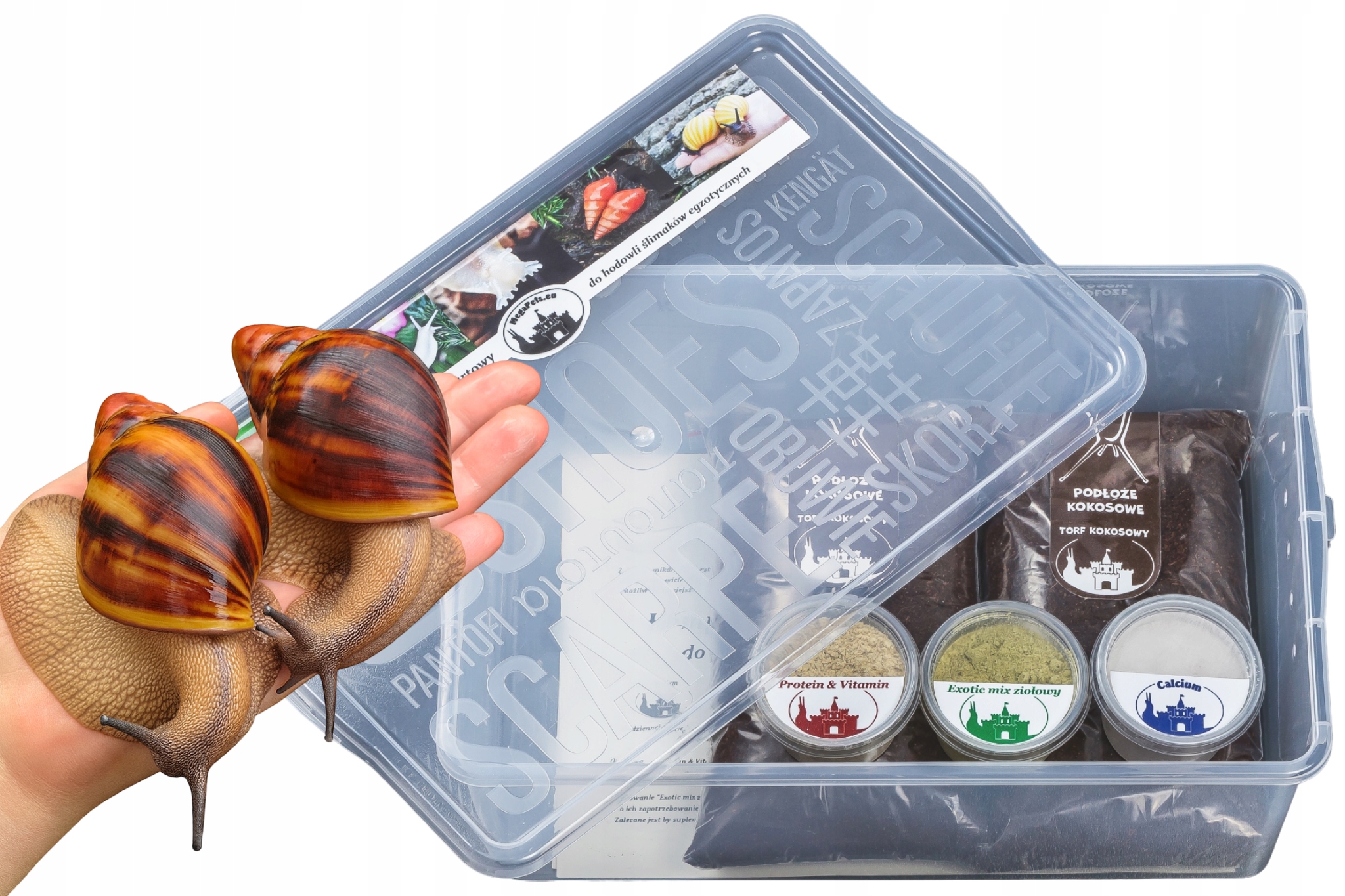 Levně Startovací komplet 20L Africké slimáky Achatina Lissachatina Archachatina