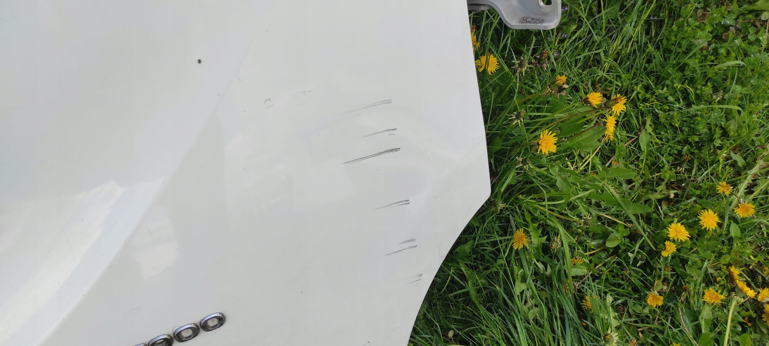door right front right front opel vivaro B BIALE