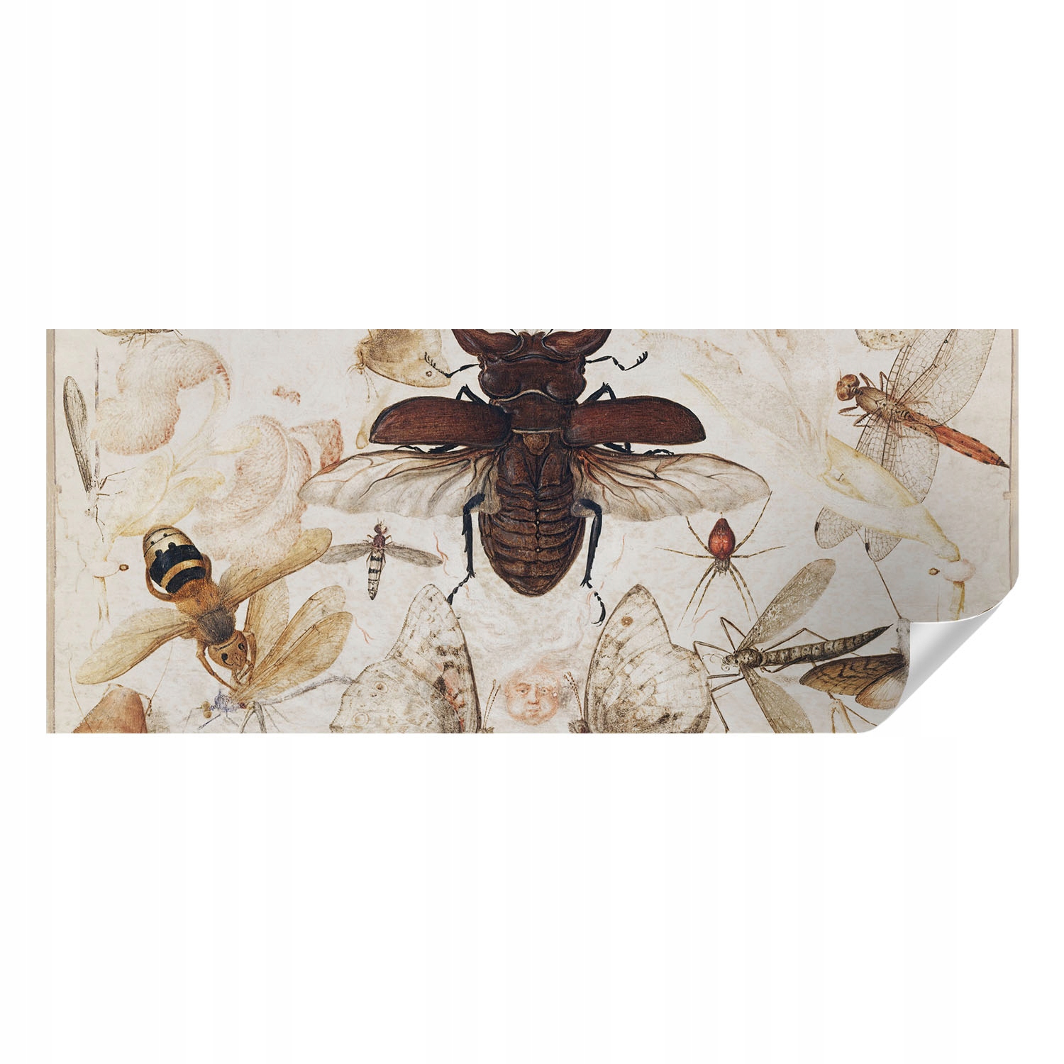 Dekorativní tapeta Samolepicí Módní vzory Přírodní harmonie 250 x 104 cm