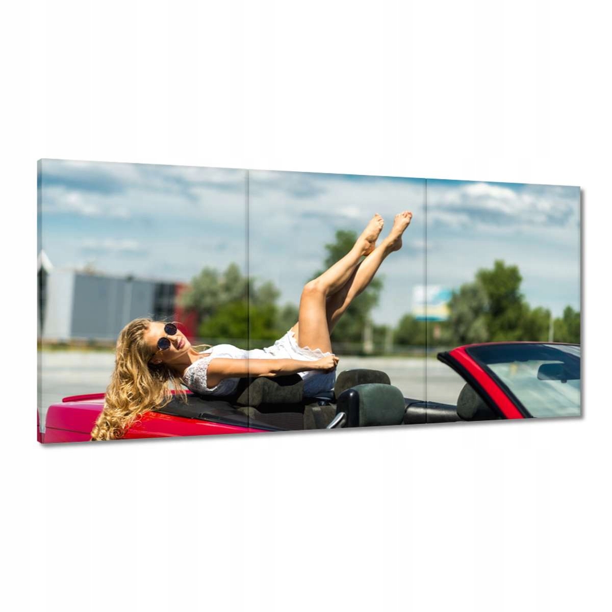 Obrazy 180x90 Palica v kabriolete