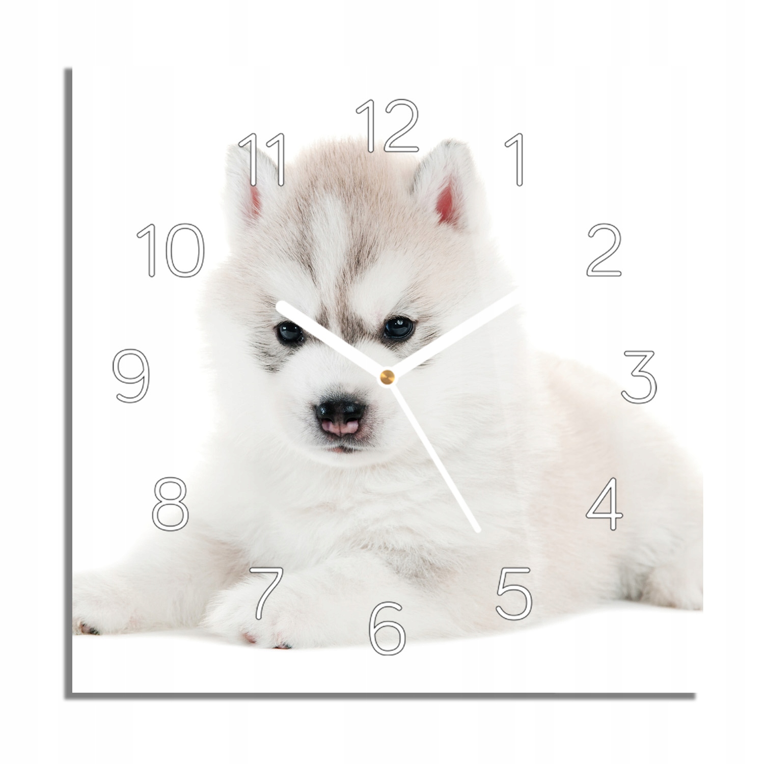 

Szczeniak husky pies zegar szklany z foto 30x30