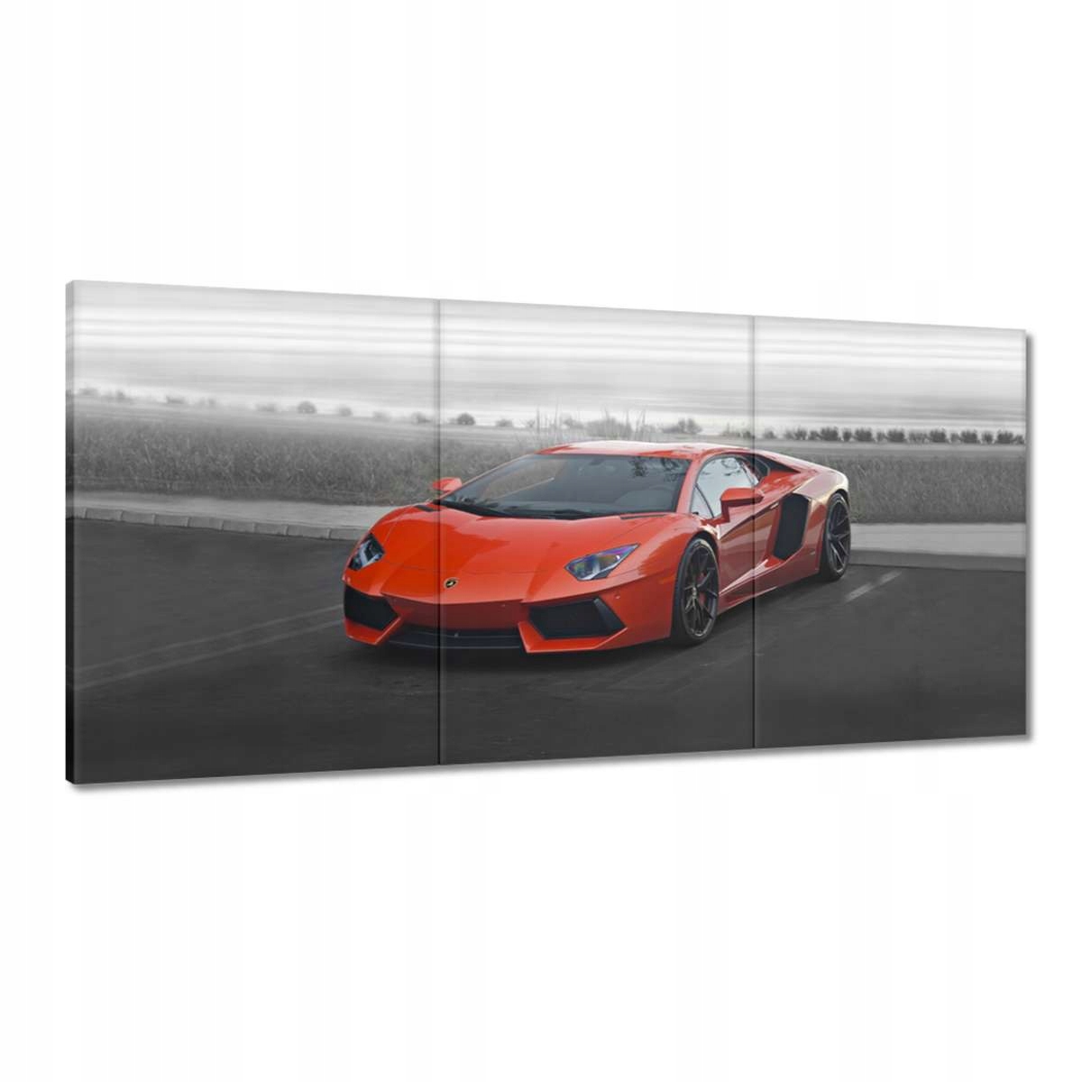 Obrazy 180x90 Sporotové auto