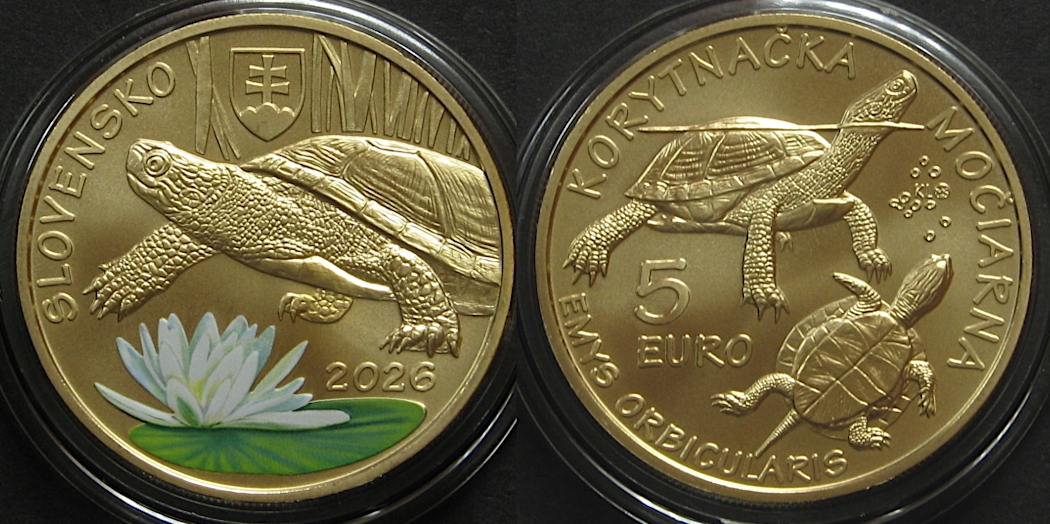 SŁOWACJA 5 Euro 2026, żółw błotny