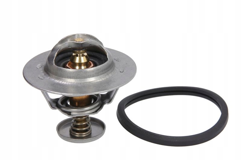 Термостат CALORSTAT Th65832j