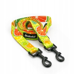 Levně Vodítko pro psa Přepínatelná Nastavitelná Limonáda Psiakrew 300 cm