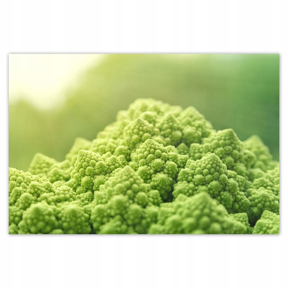 

Plakat 93x62 Kuchenne Obrazy Rewolucje