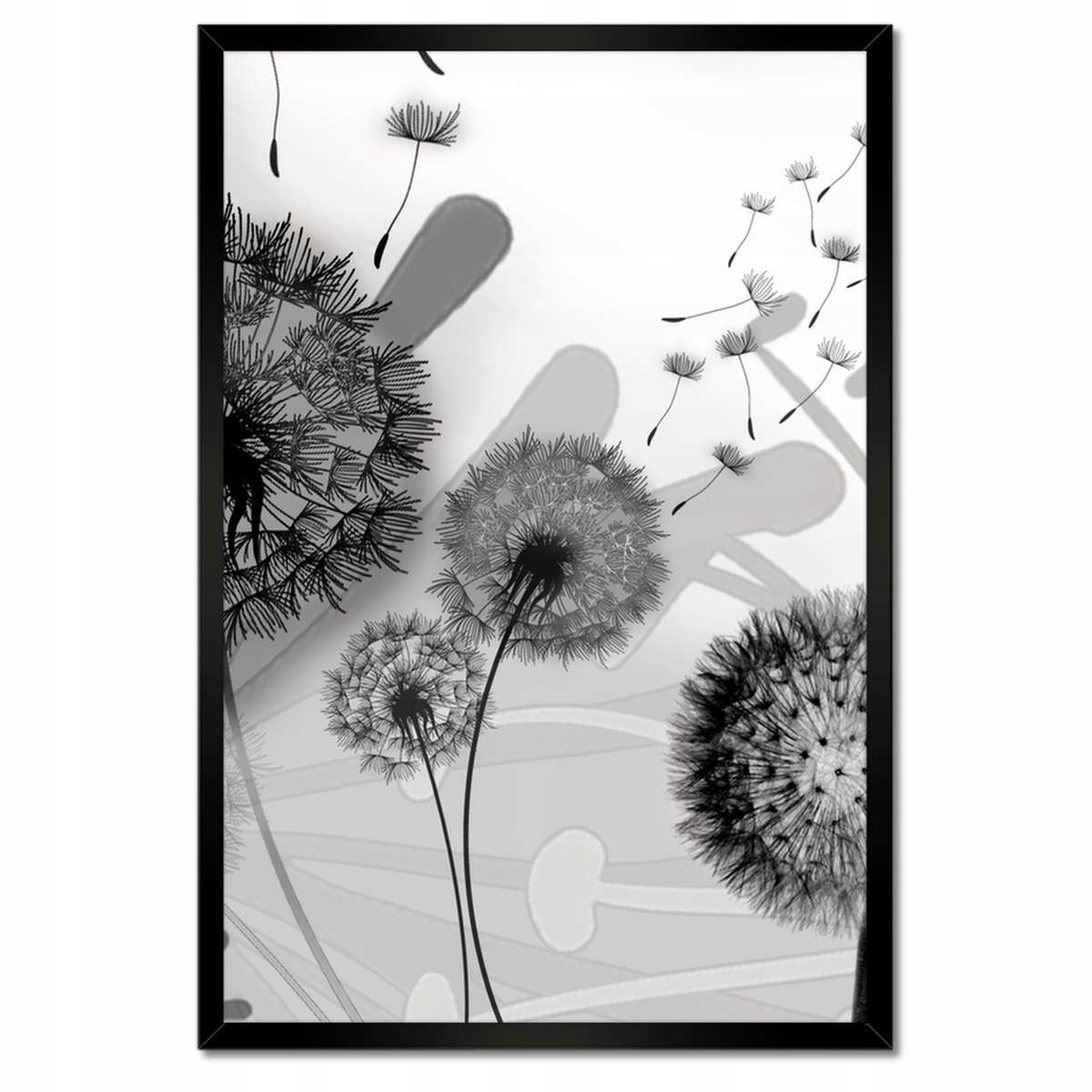 Plakáty v rámu 40x60 Dmychadla B&w