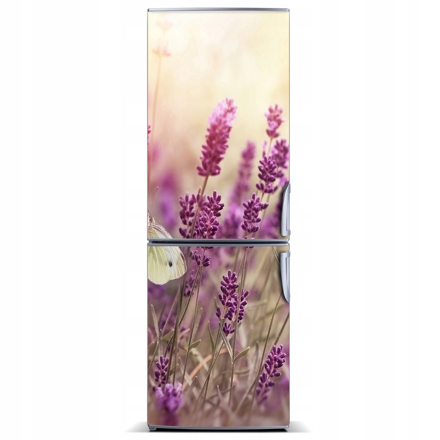 

Naklejka Magnes Magnes Kwiaty lawendy 60x180