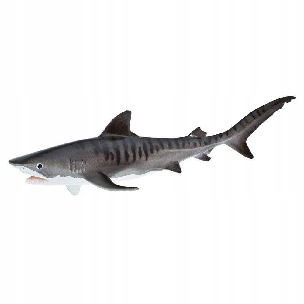 

Rekin Tygrysi Tiger Shark Safari Ltd. 211702