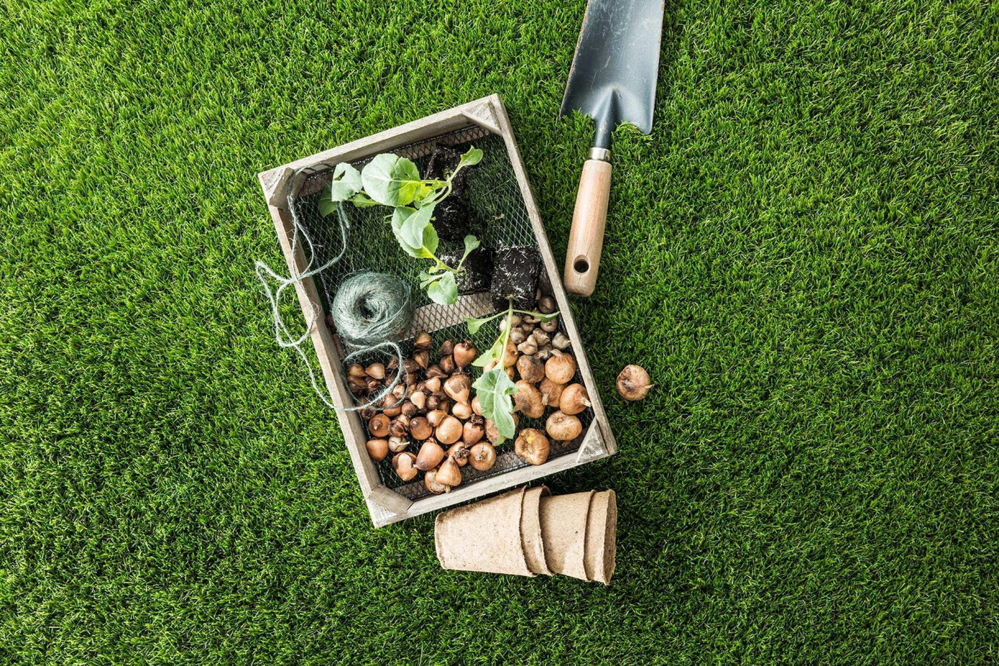 Sztuczna Trawa 400x100cm BOTANIC Boisko Ogród EAN (GTIN) 5903591059882