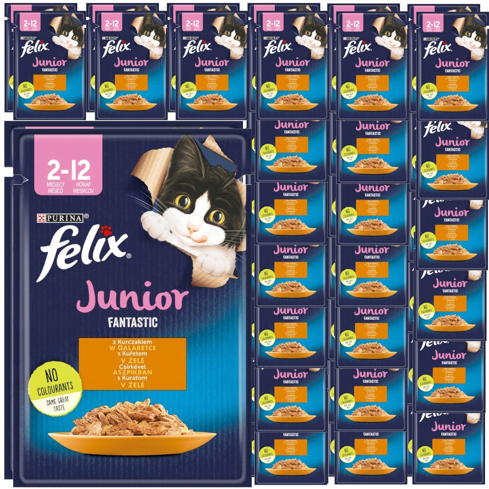 Levně Felix Junior Fantastic Kuře S Želé 48x85 g