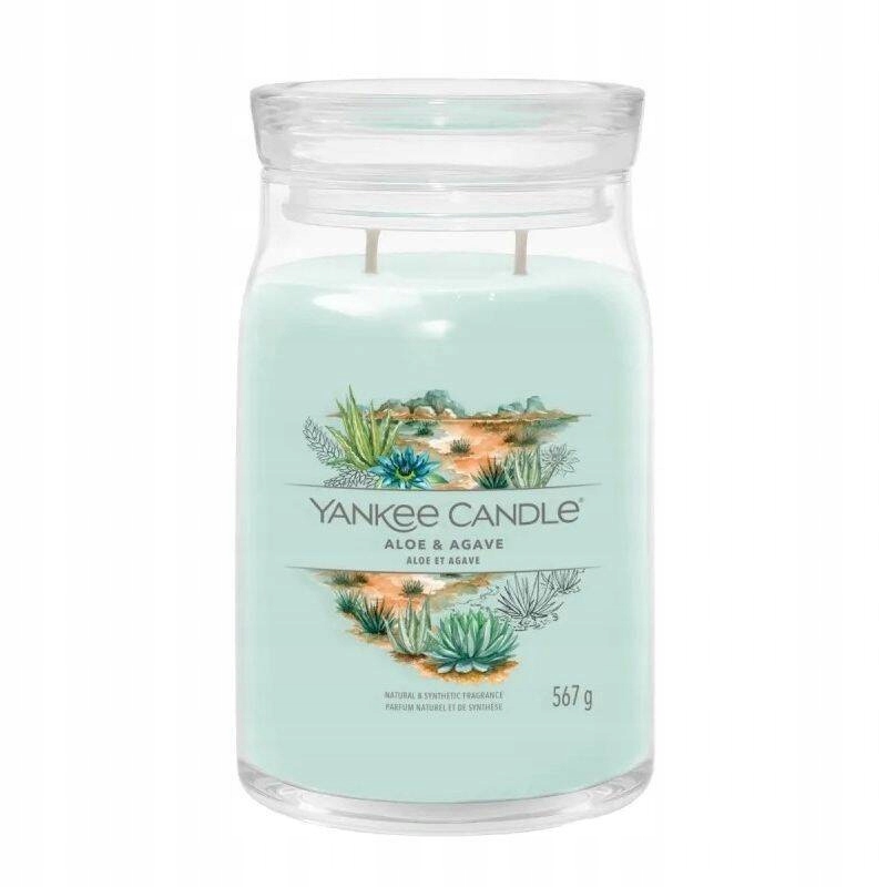 Yankee Candle Aloe Agave Velká sójová svíčka se dvěma knoty 567 g