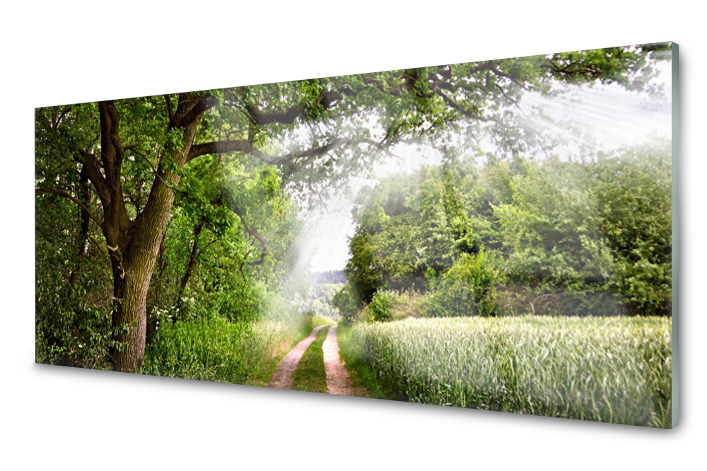 

Panel szklany do kuchni Drzewa Ścieżka 125x50