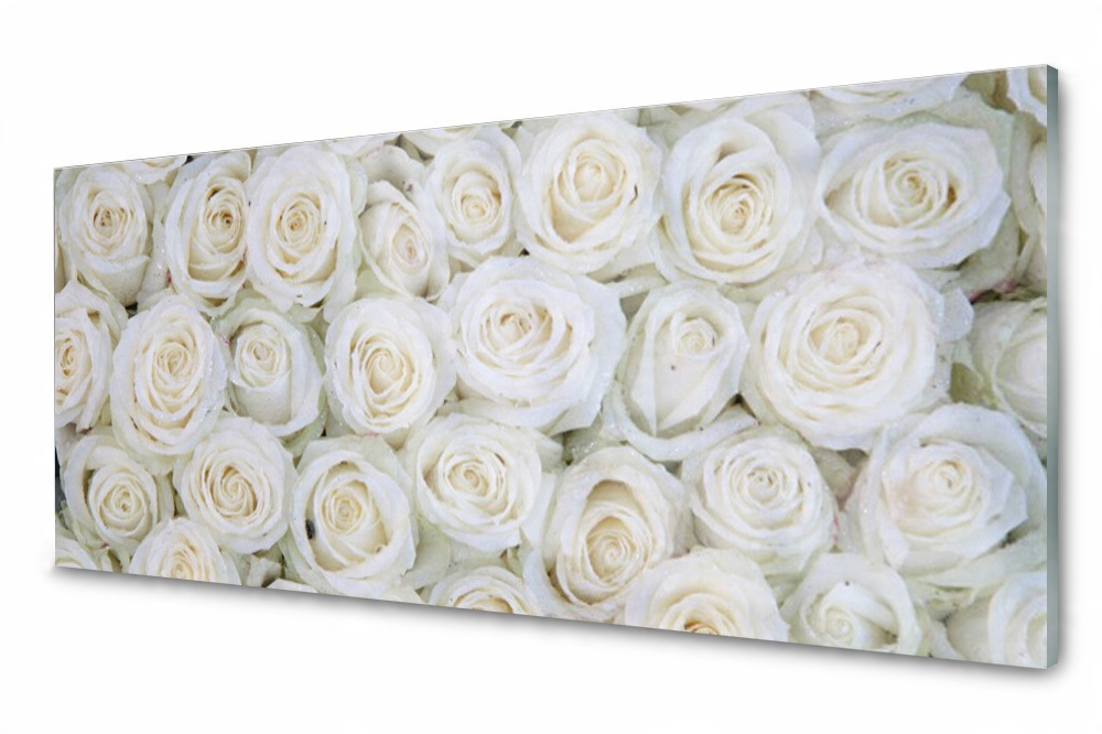 

Panel szklany do kuchni Róże Kwiaty Roślina 125x50