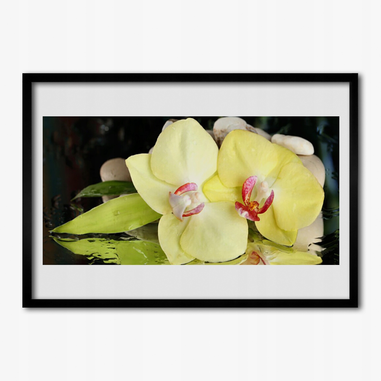 Moderní obraz s rámečkem Květ orchidej 100x70 cm