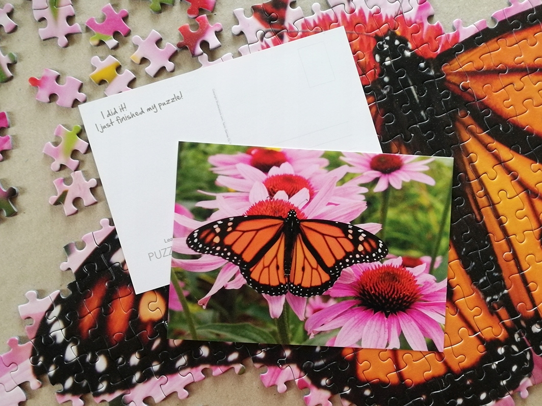 Tactic PUZZLE Motyle 1000el Płeć chłopcy dziewczynki