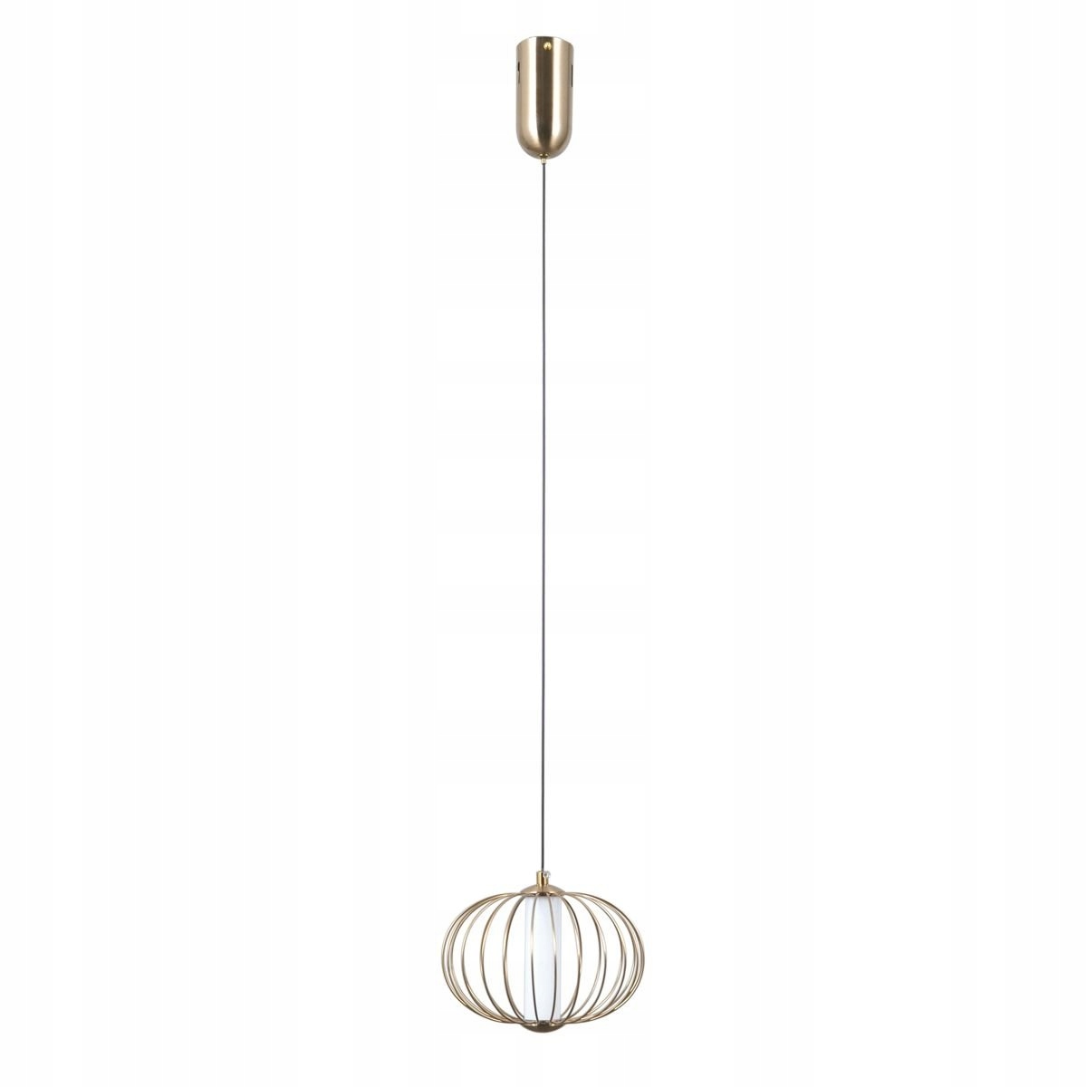 Závěsná Led lampa 5W Rabel PND-344221-1-HBR Italux