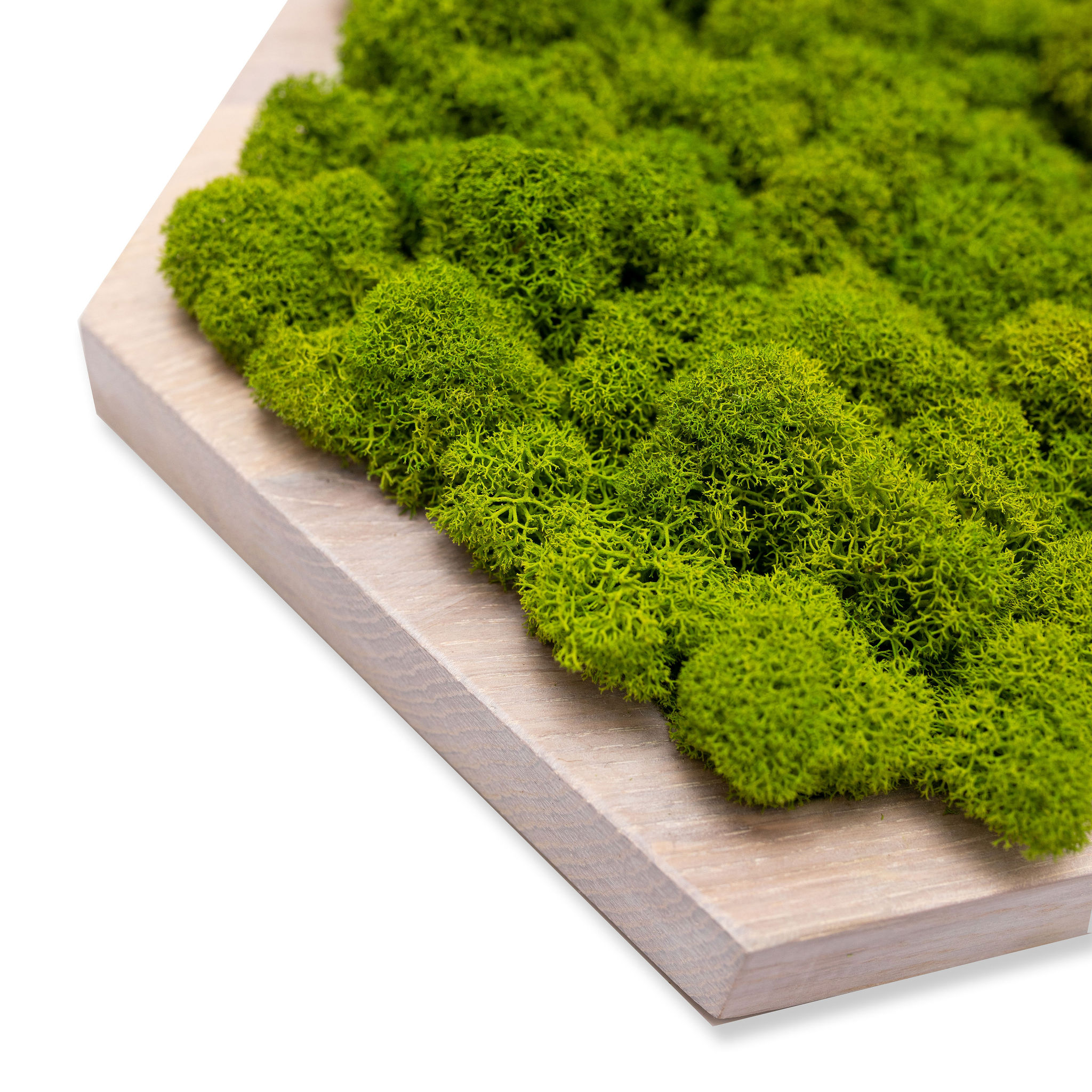 PANELE ŚCIENNE MECH CHROBOTEK JASNY HEKSAGON MINI Wykończenie matowe