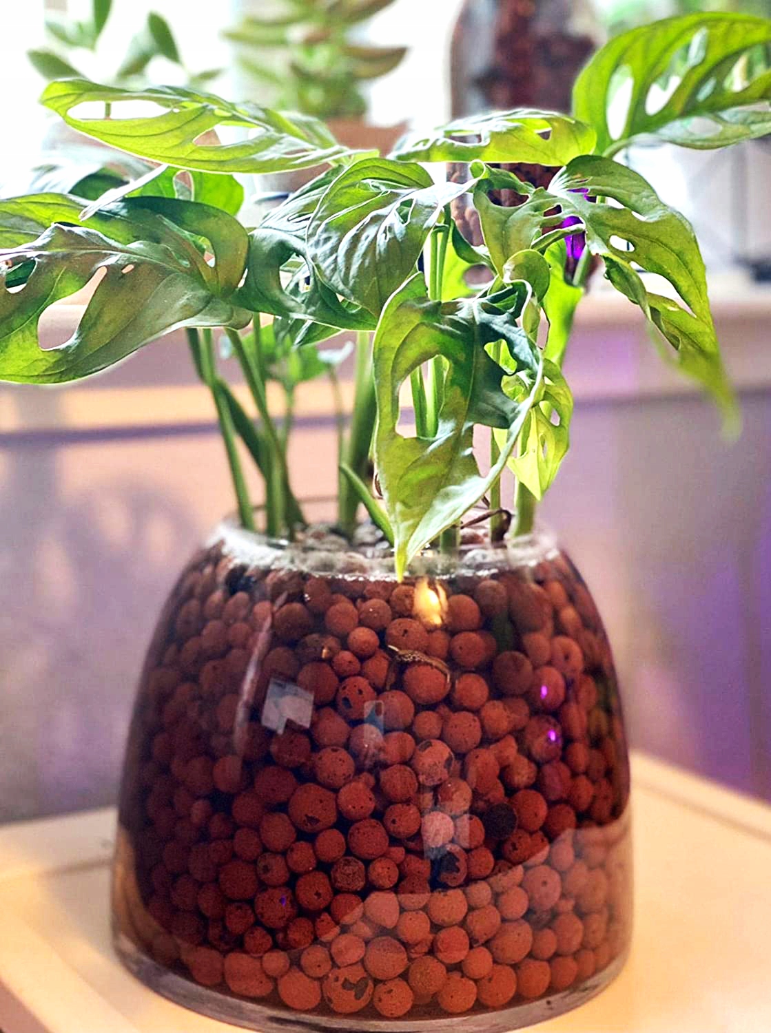 KERAMZYT OGRODNICZY CERAMICZNY PODŁOŻE ZIEMIA 80L Stan opakowania oryginalne