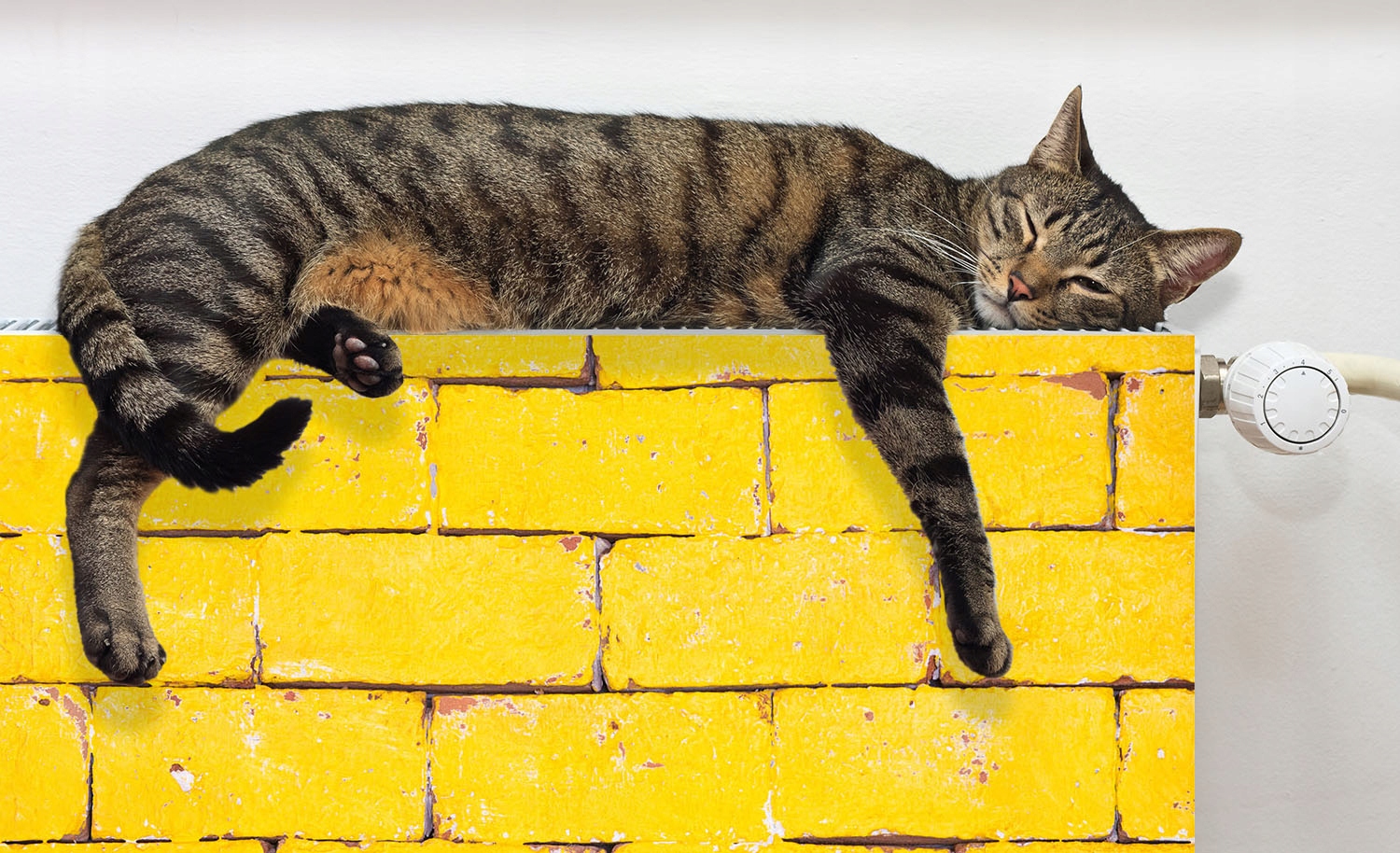 MAGNES MATA MAGNETYCZNA NA KALORYFER 100x60 CEGŁA FOTOTAPETA Rodzaj produkt gotowy