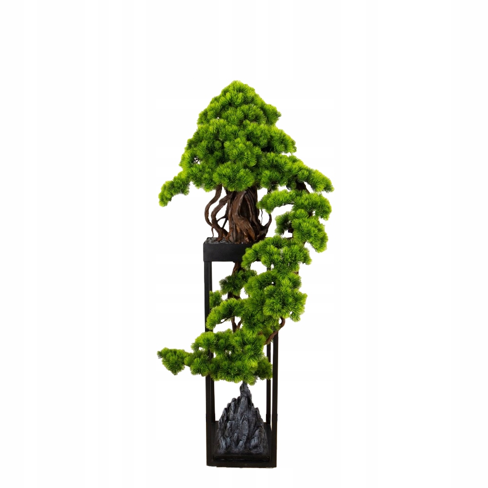 Pokojová dekorativní kaskádovitá bonsai Borovice (PN-76)