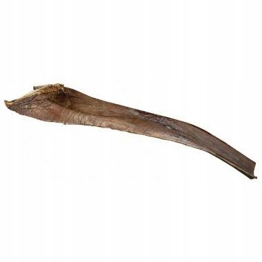 Levně Trixie Papah wood palmový list 50-65 cm pro plazy na lezení (6ks)
