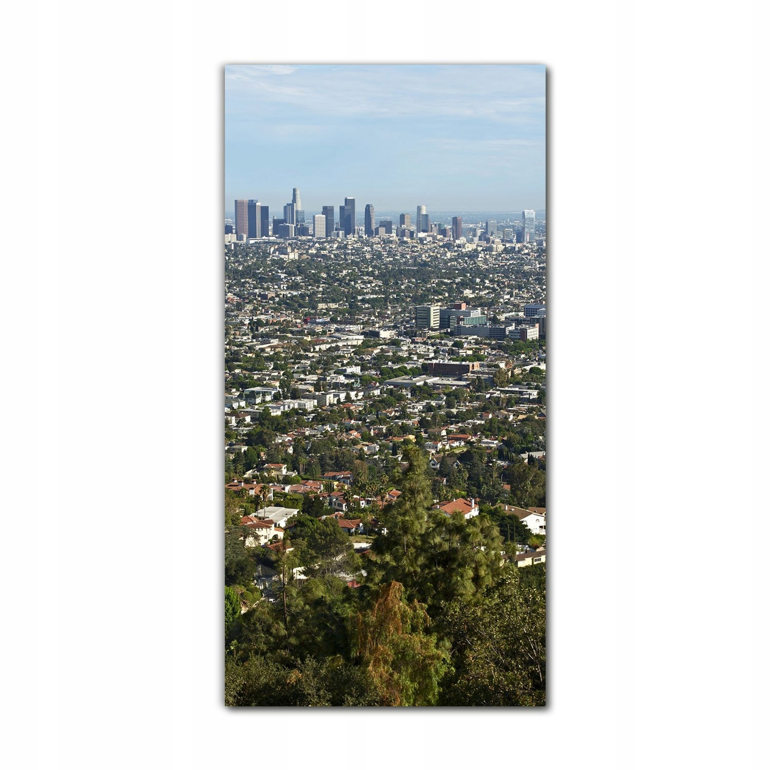 

Obraz szklany do sypialni 70x140 Los Angeles widok