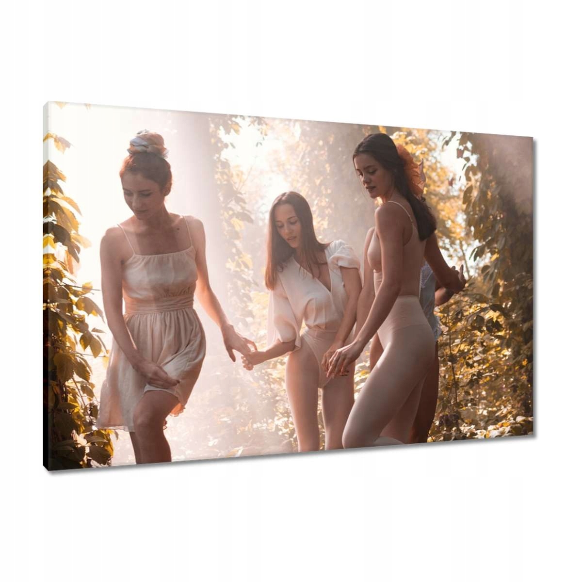 Obrazy 90x60 Slunce Koupila