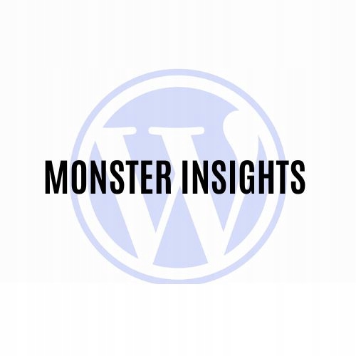 Wtyczka MonsterInsights eCommerce Addon