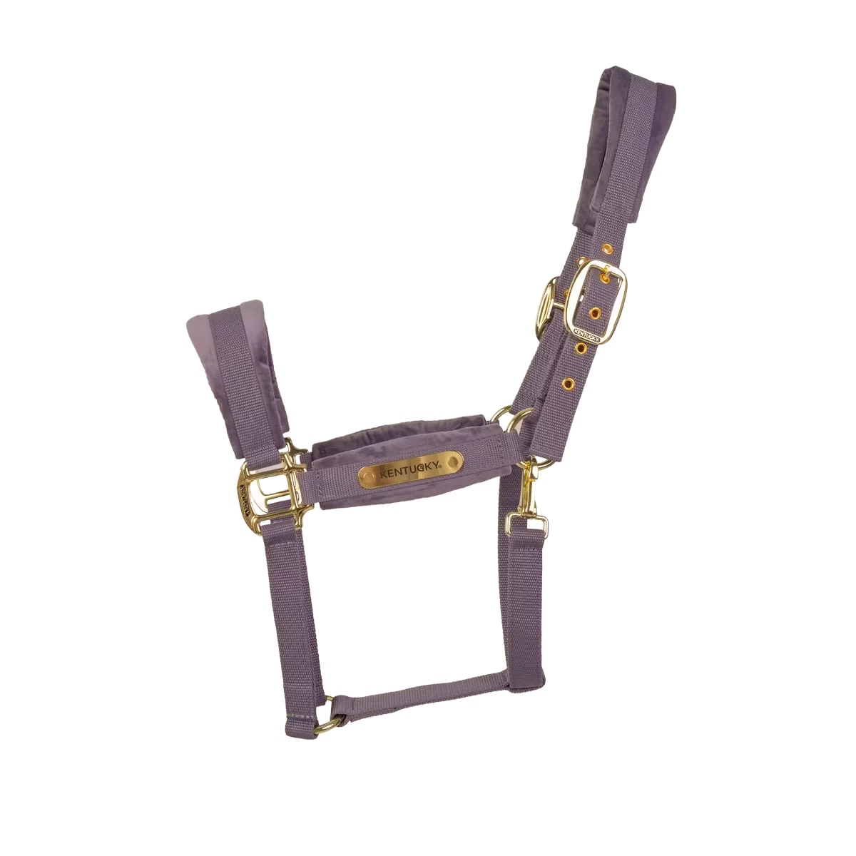 Uzda pro koně Kentucky Velvet měkký velurový elegantní fialový Full