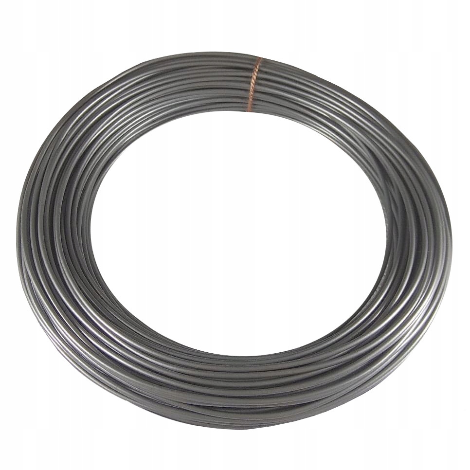 

Filament 100g Plastspaw Pla 1,75mm Srebrny