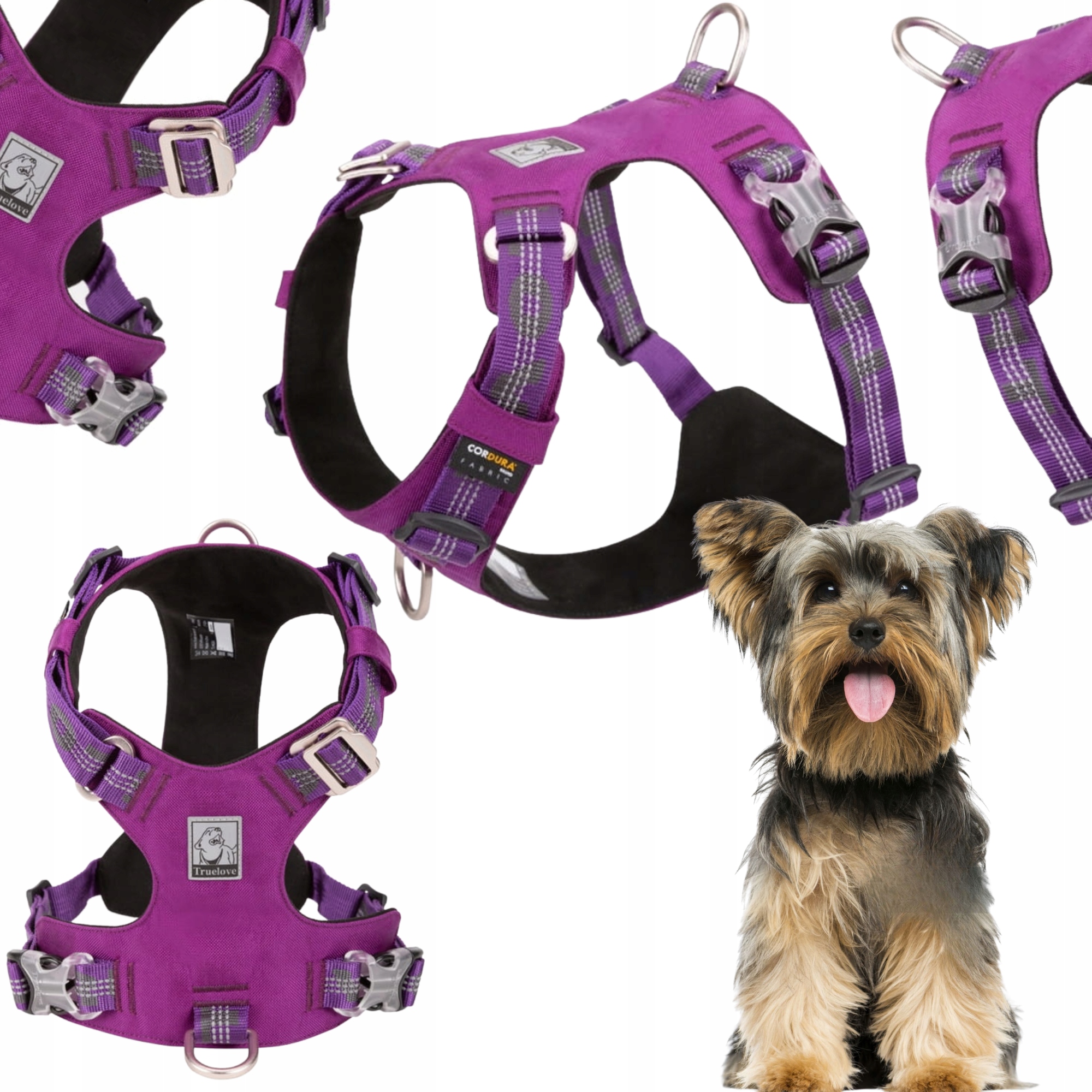 Voděodolné Obojky Pro Psa Lehké Truelove Adventure Dog Fialové Xs