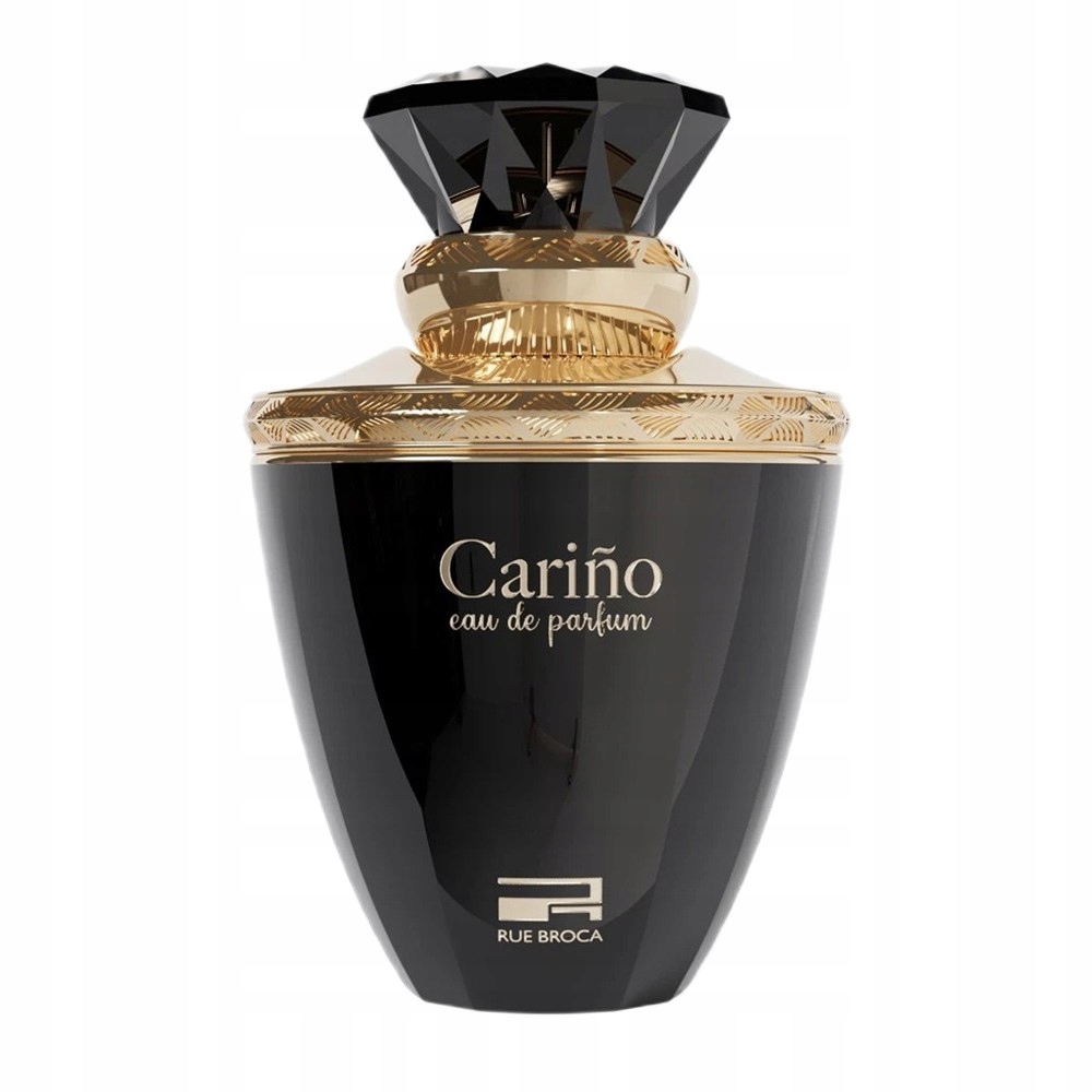 Carino Black Parfémovaná voda Spray 100 ml Pánská vůně Orientálně-sladká