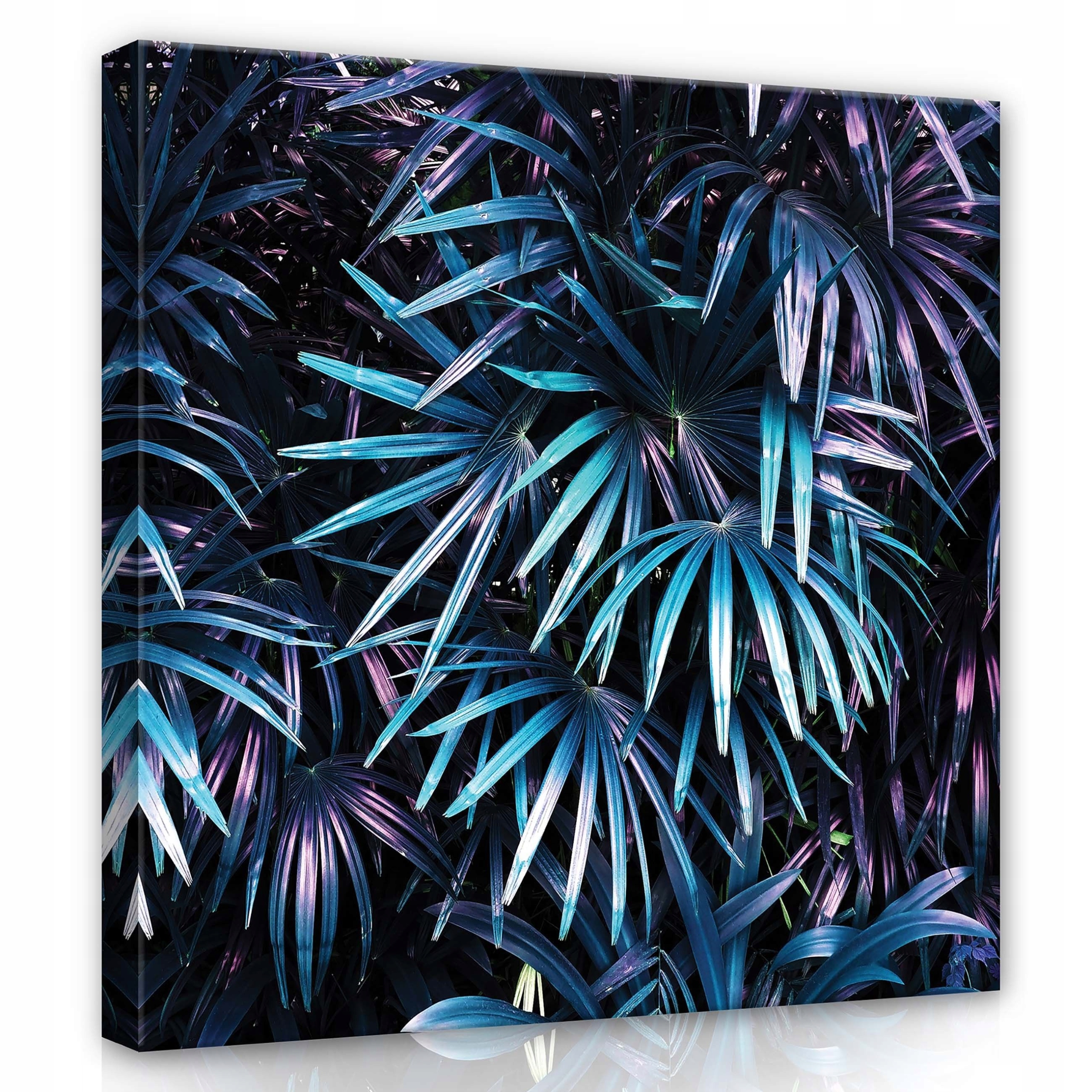 Obraz 80x80 Tropy palmy listy džungle noc neon fialová exotika