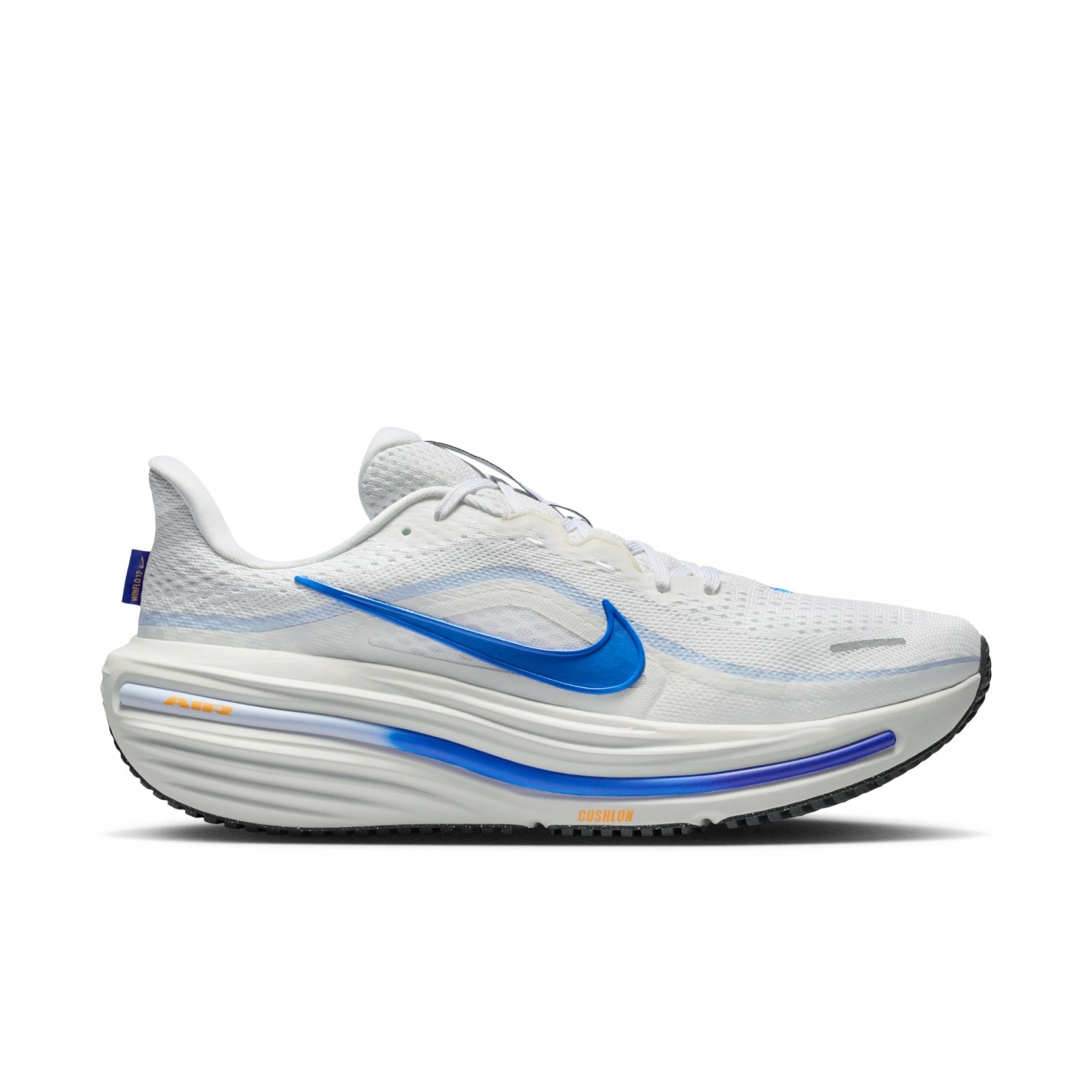 Pánské běžecké boty Nike Winflo 12