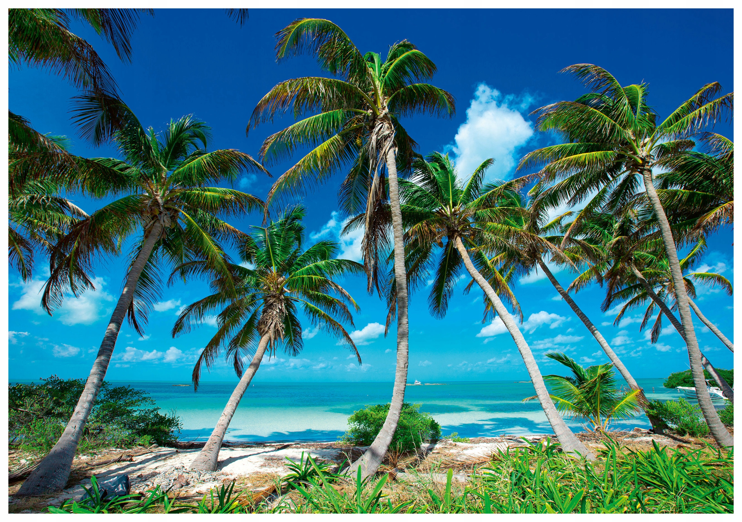 Fototapeta Palmy Pláž Relax Bílý Písek Moře Světle Modrá 200x140 lepidlo