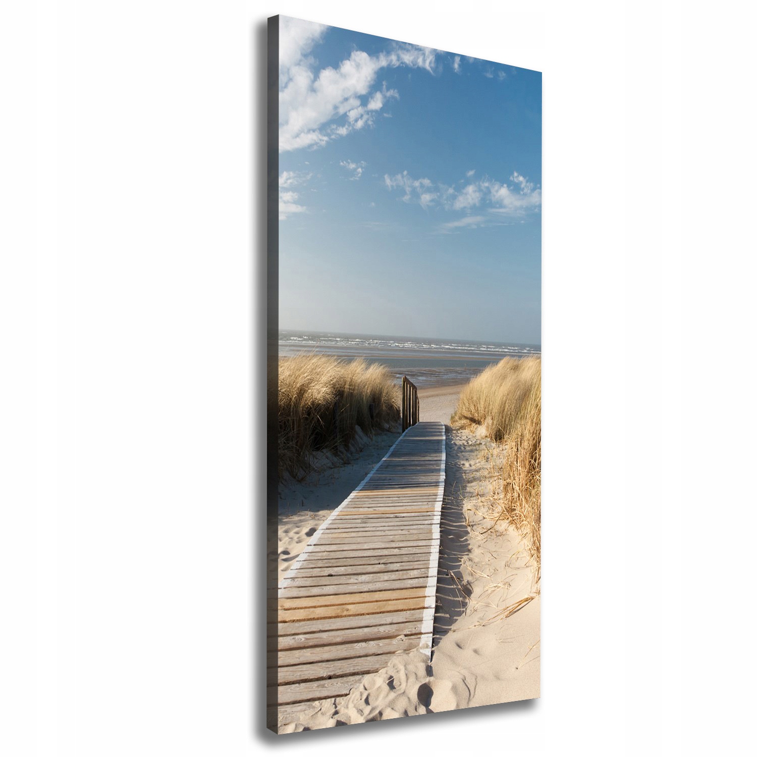 

Foto obraz na płótnie Ścieżka na plażę 50x125 cm