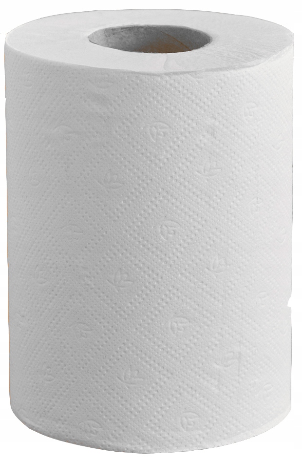 Levně Bunny Soft Papírový Ručník 2-VRSTVY Celulóza 19 CM x 65 M 12 Ks