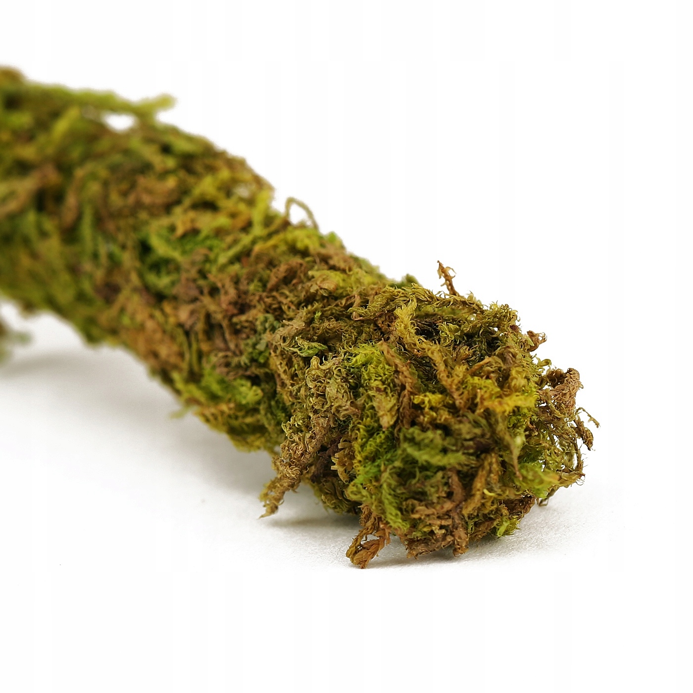 Levně Repti-zoo Liána s přírodním mechem 1,5 cm x 2 m