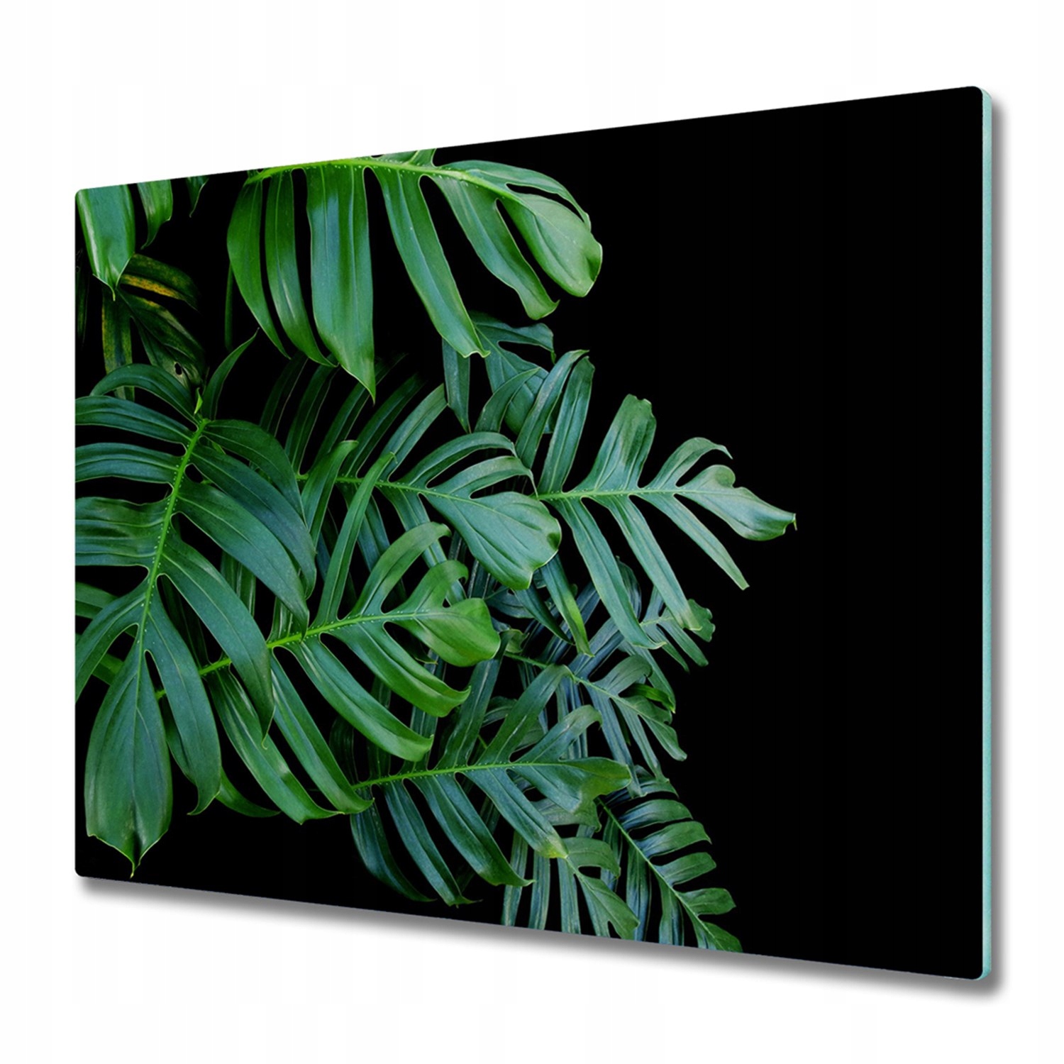 

Płyta ochronna na indukcję Monstera 60x52