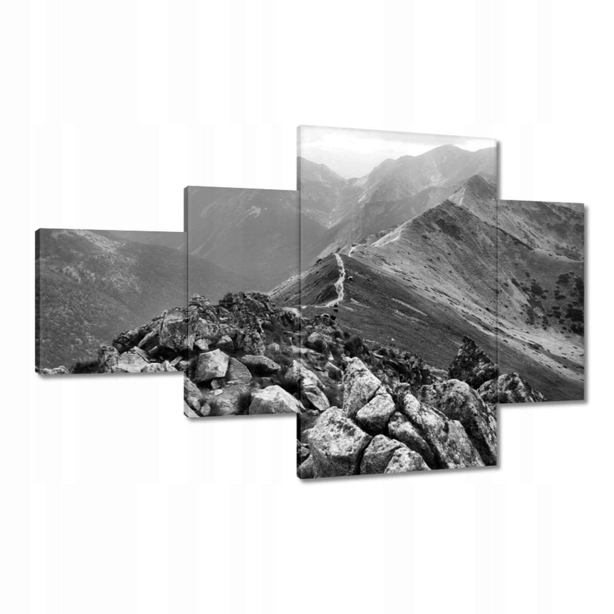 Obrazy 130x80 Tatry Polské hory Pohled