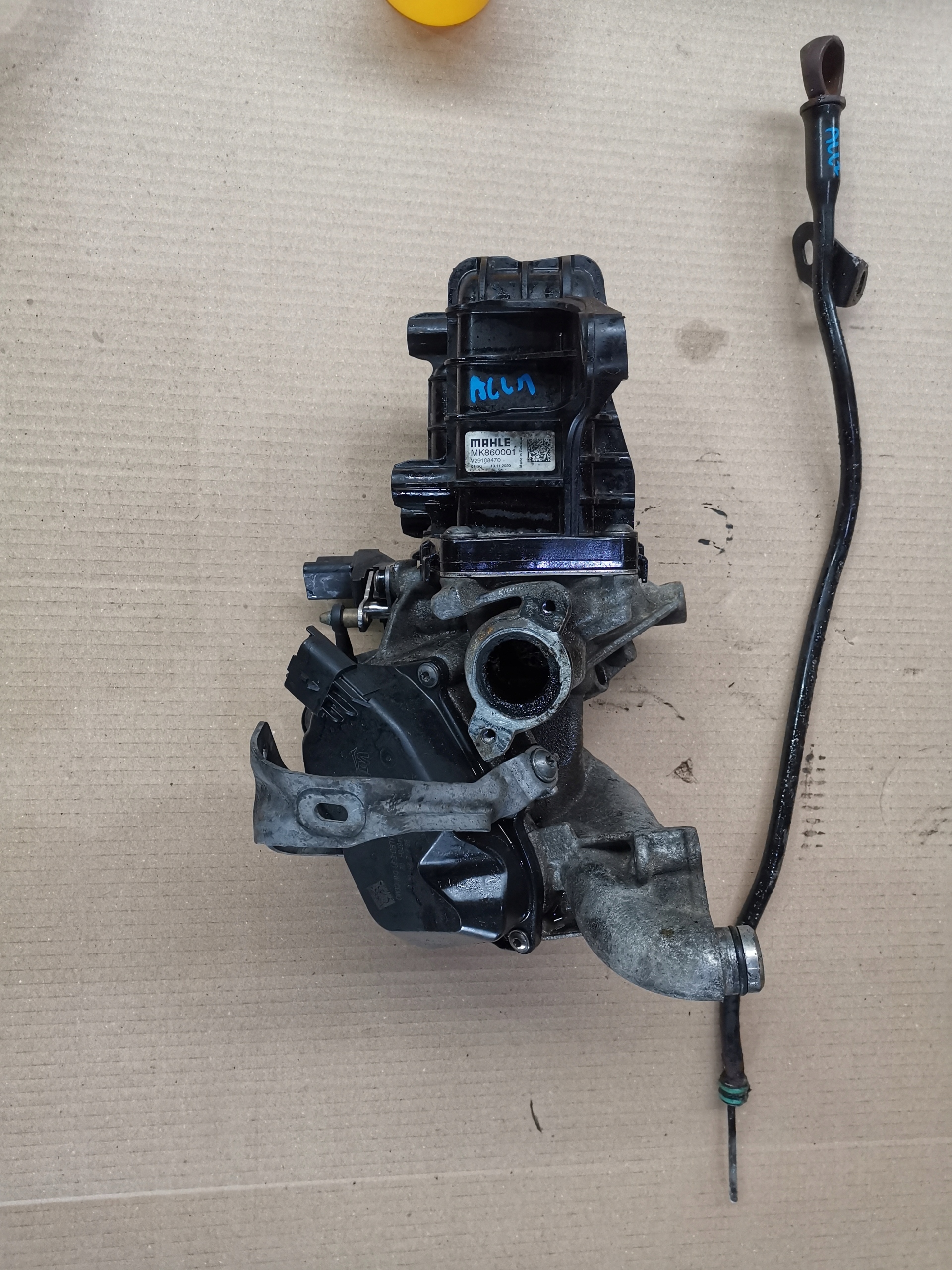 sjärna Osłona / obudowa końcówki wydechu / tłumika, Honda Forza 125