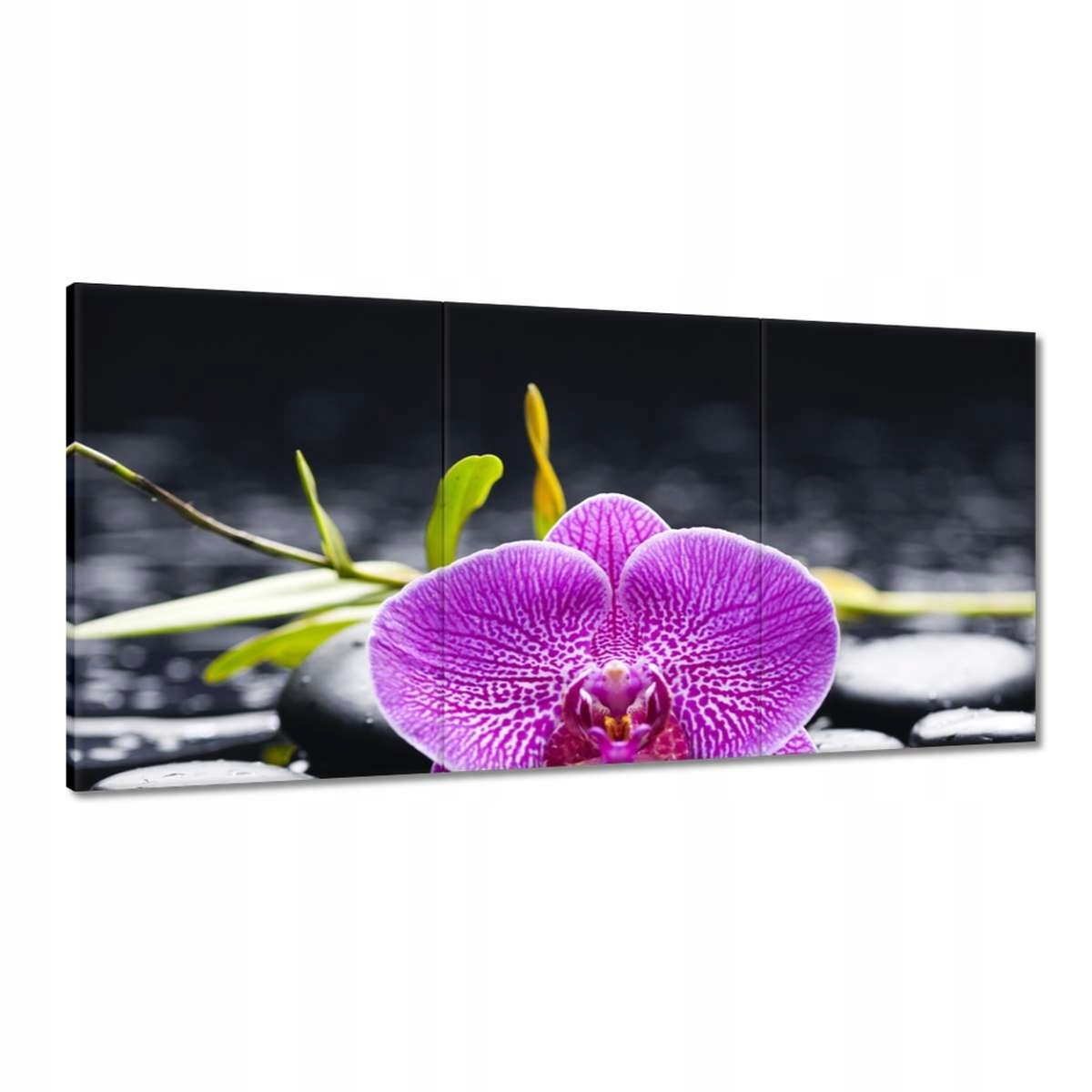 Obrazy 180x90 Fialová orchidea