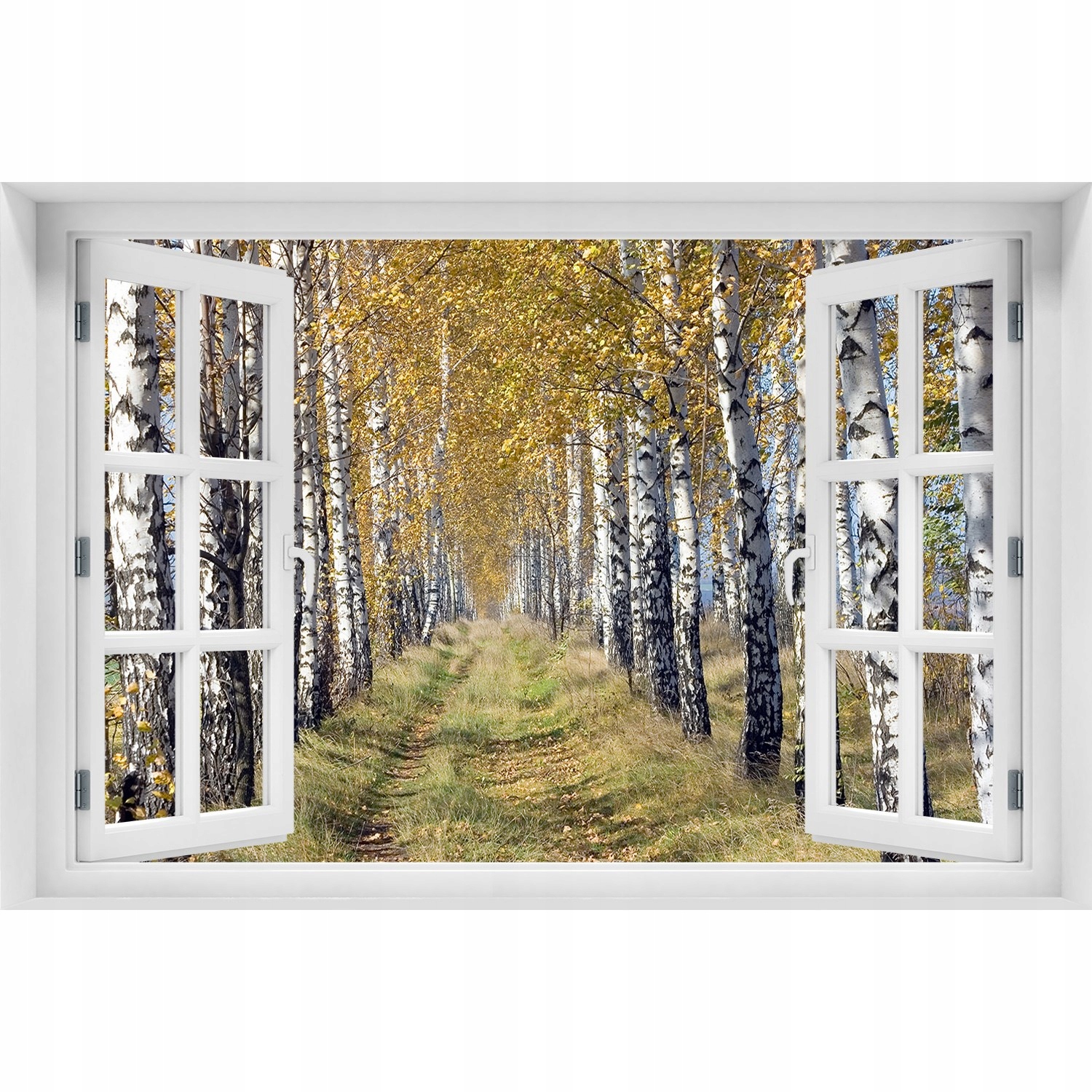 

3D Okno Naklejka na ścianę Brzozy jesienią 150x100